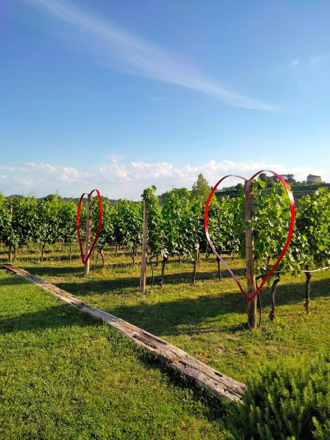 Agriturismo Le Ginestre لاتيزي المظهر الخارجي الصورة